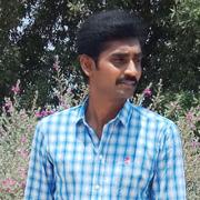 Reddy Groom