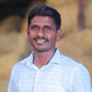 Reddy Groom