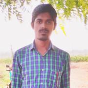 Reddy Groom