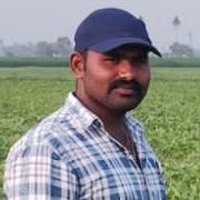 Reddy Groom