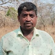 Jangam Groom