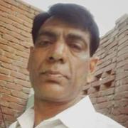 Sheikh / Shaikh Groom