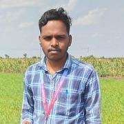 Panchamsali Groom